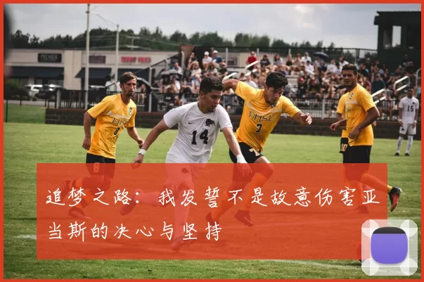 追梦之路：我发誓不是故意伤害亚当斯的决心与坚持