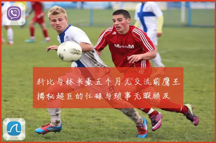 科比与林书豪五个月无交流前鹰王揭秘超巨的忙碌与琐事无暇顾及